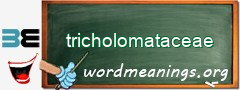 WordMeaning blackboard for tricholomataceae